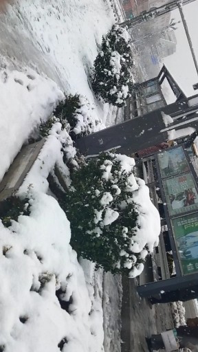 大到暴雪