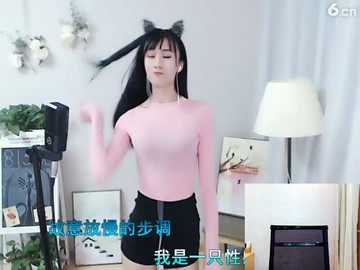 8068