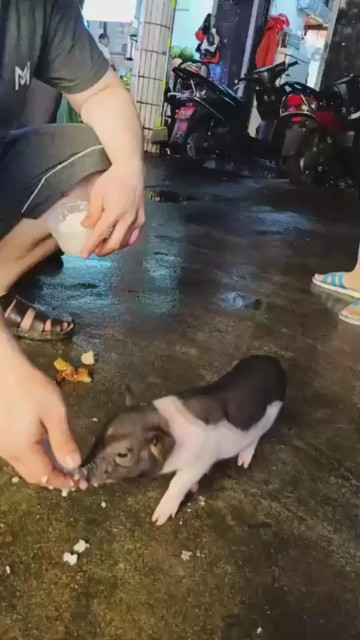 在一起就可以