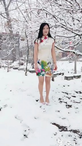 冬天里的白玫瑰