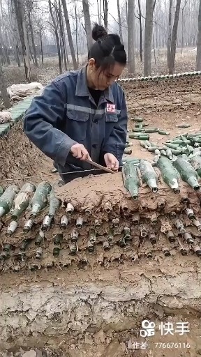 玻璃的别墅