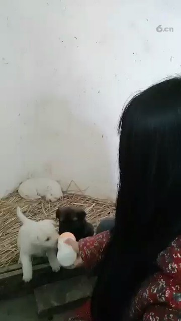 😂