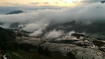 美景