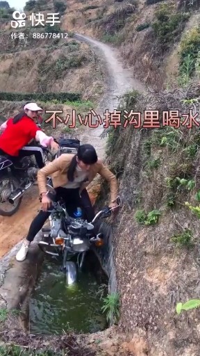 牛在飞