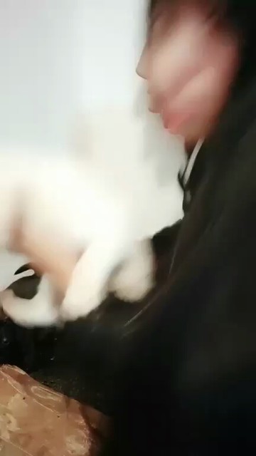 😂