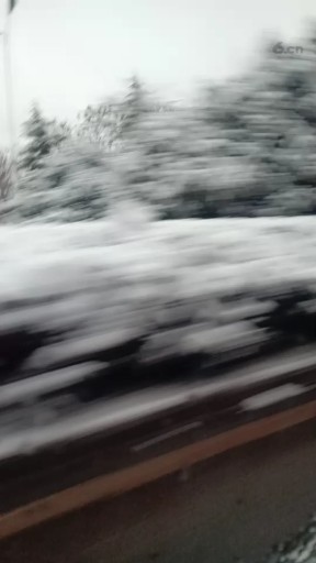 新年快乐，下雪了