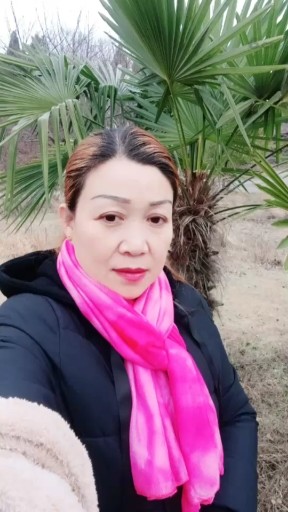 出来玩一玩