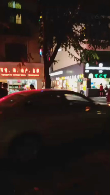 社会