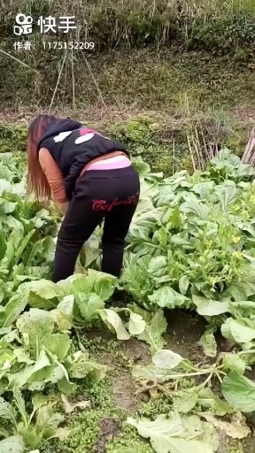 干就完了