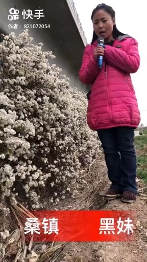 我是否在你心中