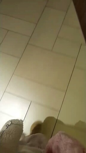上海d