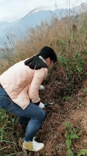 我的心好累