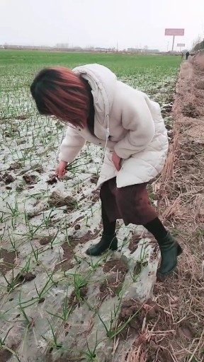 小任性