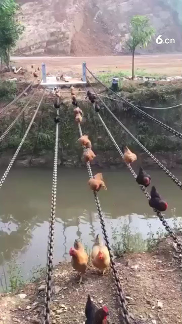 农村版飞渡泸定桥
