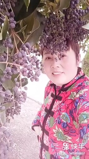 我爱你你在哪里