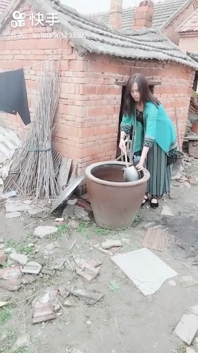 篱笆女人和狗