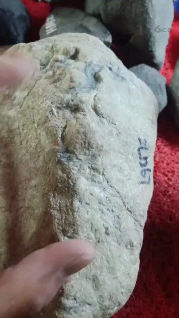 结堆木那