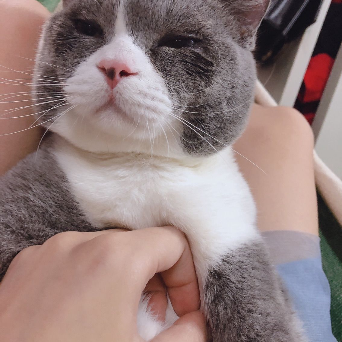 绿绿绿绿绿公主👸丶的主播照片