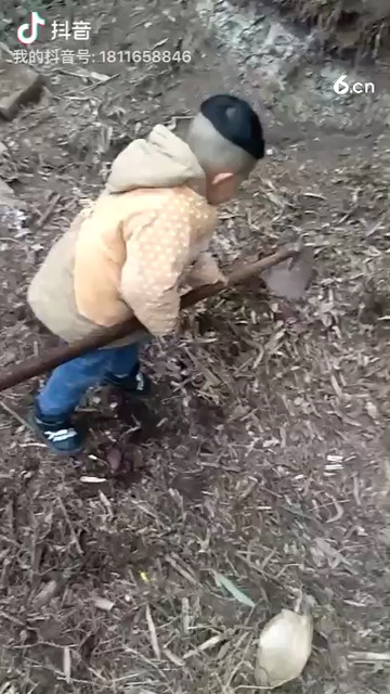 我的两儿子