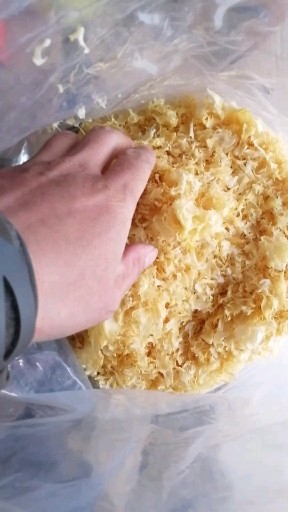 银耳小花，适用于熬粥，甜汤，