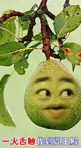 33