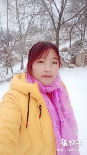 又见雪花飘