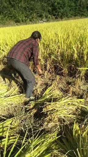 女人照样苦