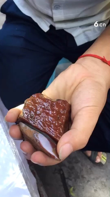 沙漠中的一片绿洲