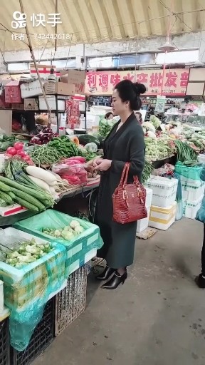 牛在飞