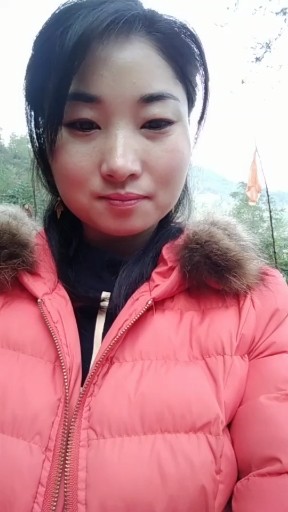 花开花落一地伤