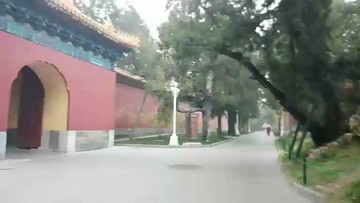 中山公园