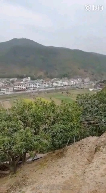 下赵村你早西京你好！