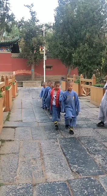 可爱的童年