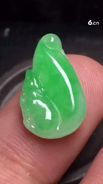 特惠528阳绿