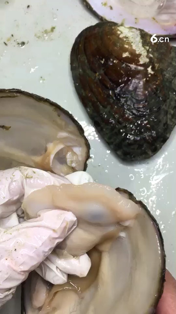 好看妖紫好看