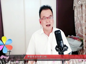 小白杨