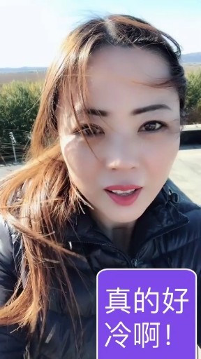 闯码头