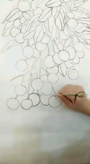 荔枝熟了
