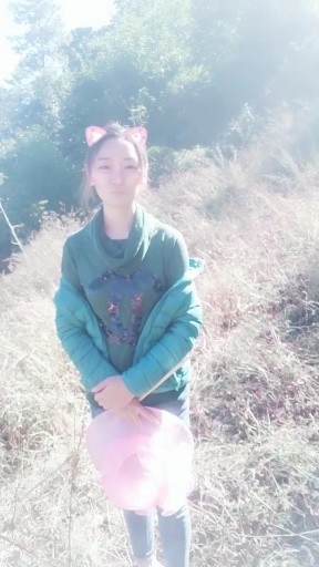 棉花糖猫