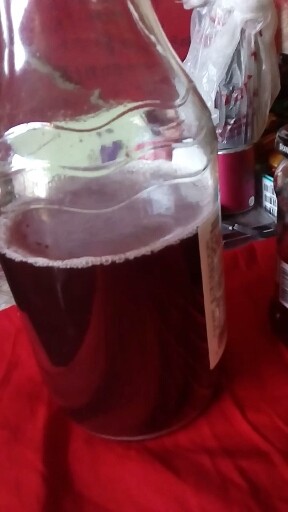 瞧我酿的葡萄酒颜色多正。
