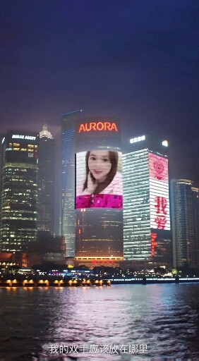 假假假假假