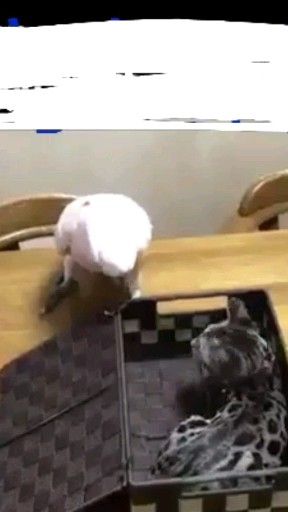 脾气不小了