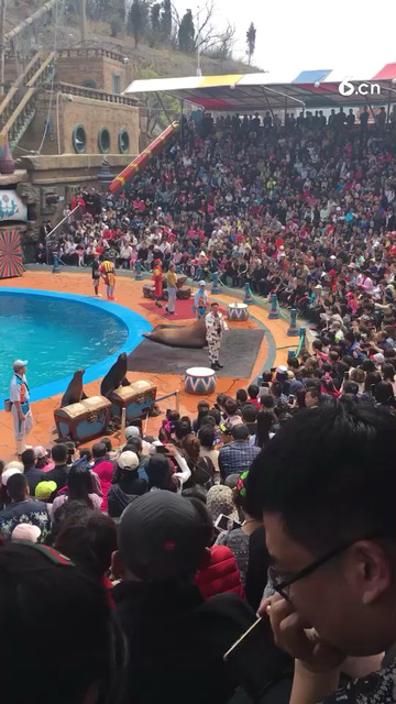 嘿嘿