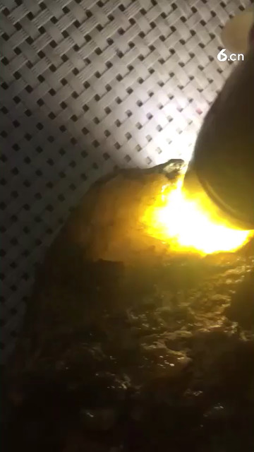 玉随有缘人