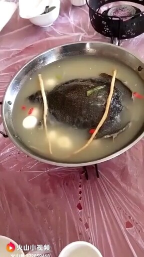 第一道菜乌龟王八蛋。