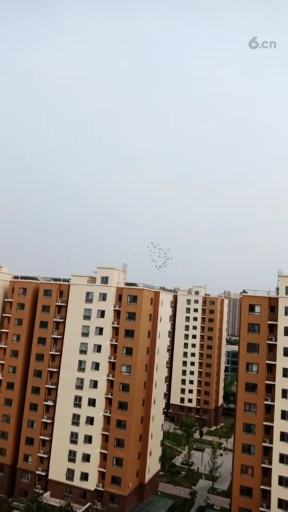 训练