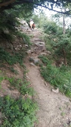 时间告诉我