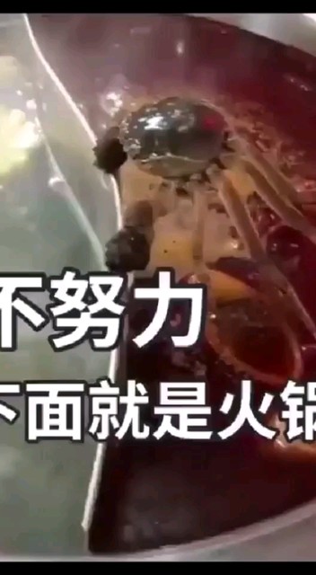 唉嘛、坚持不住啦😂️