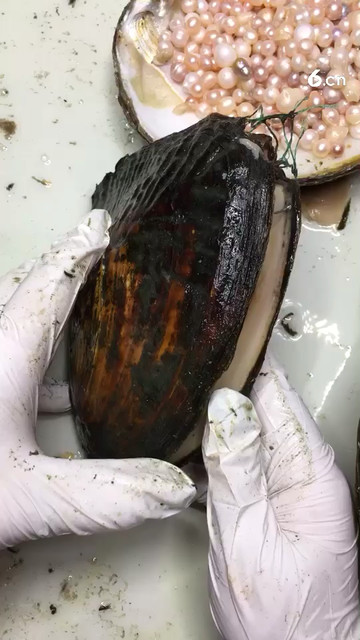 哇塞好多哦