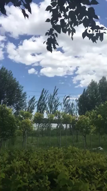 蓝天白云